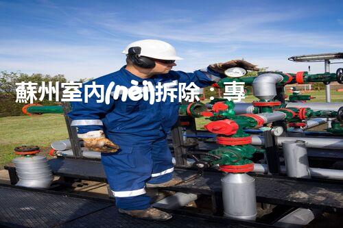 蘇州室內(nèi)拆除：專(zhuān)業(yè)高效，安全環(huán)保一站式服務(wù)